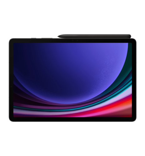 Планшет Samsung Galaxy Tab S9 5G 256GB Graphite (SM-X716BZAESEK)